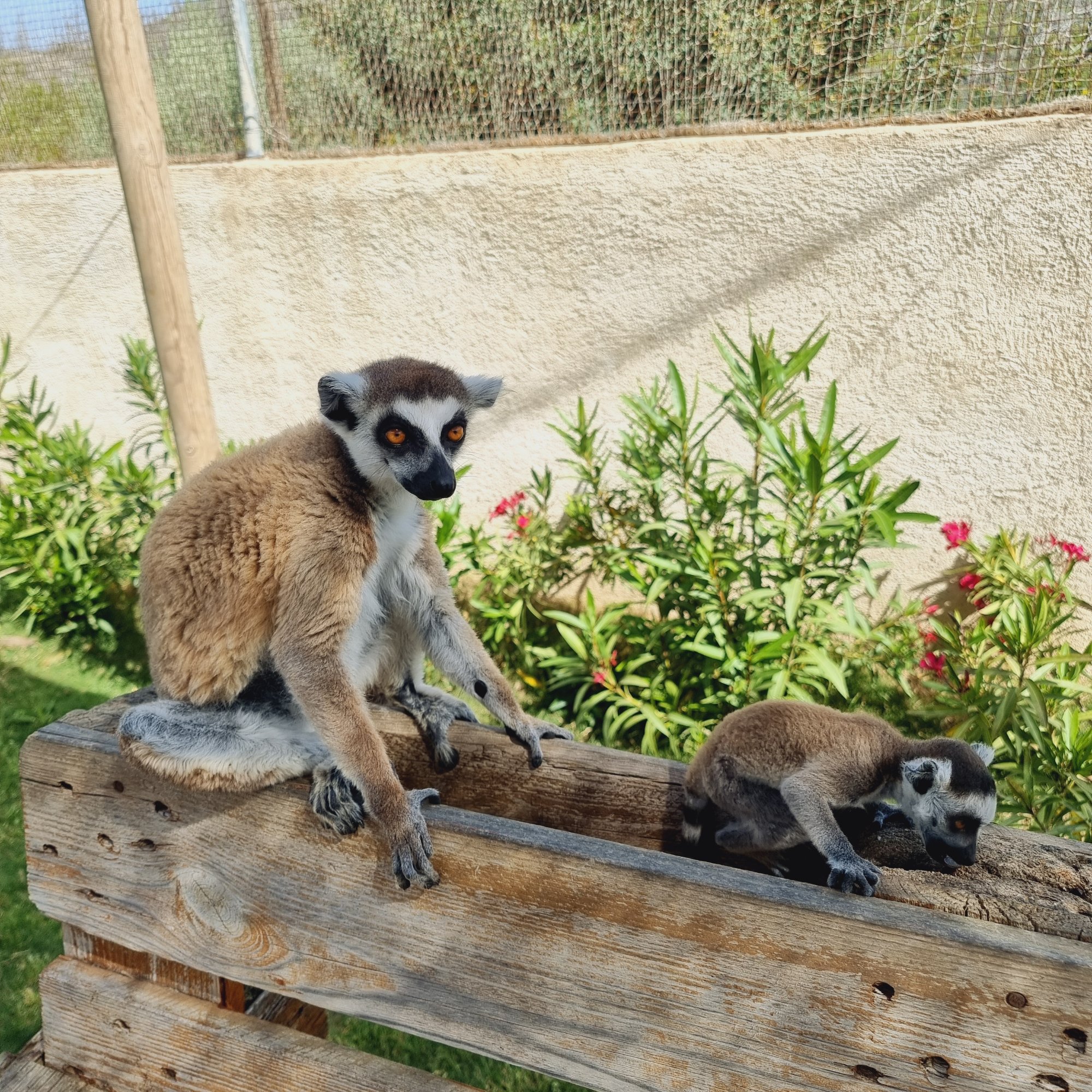 Aile Macerası — Özel tur photo 2